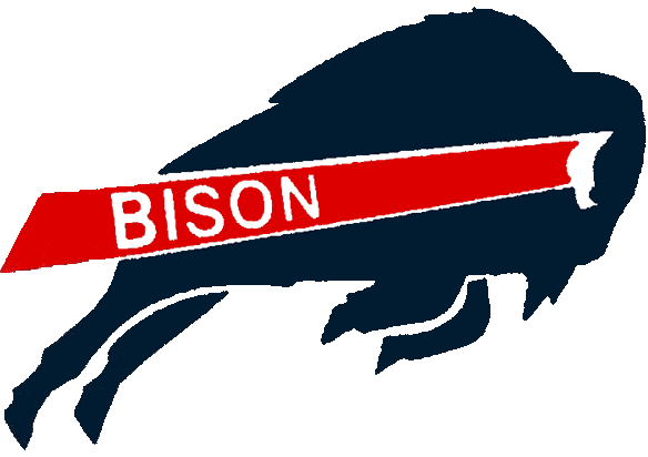 Howard Bison 2002-2014 Primary Logo diy DTF decal sticker